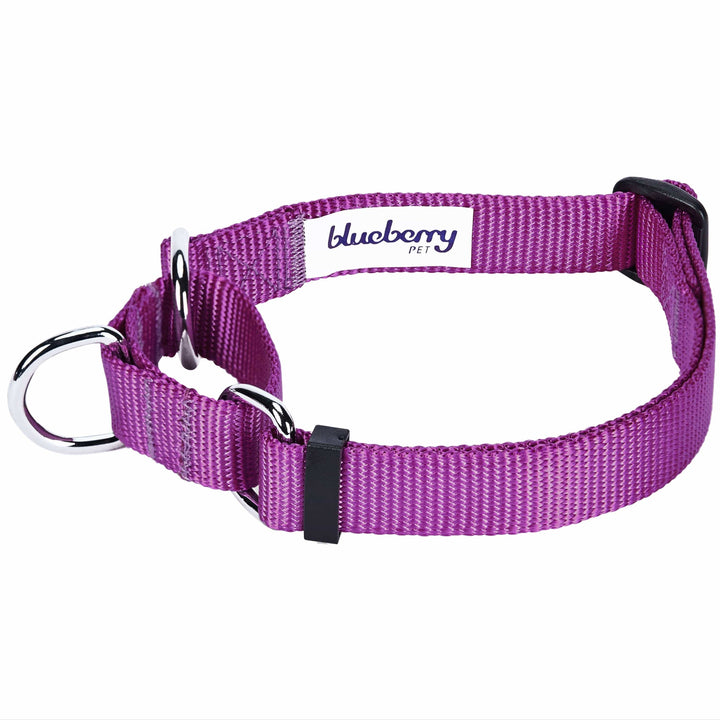 5 Colors, Classic Martingale Dog Collar