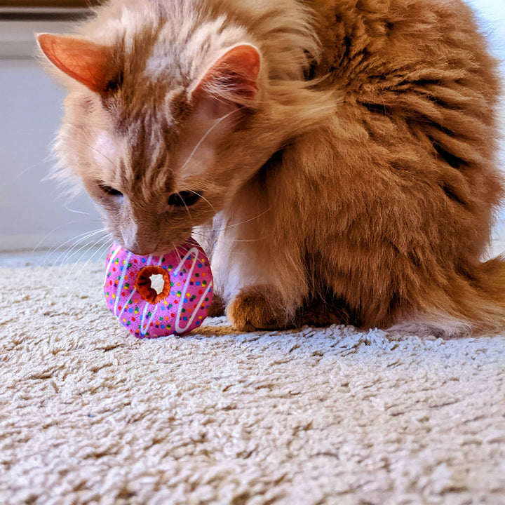 Catnip Donut for Cats