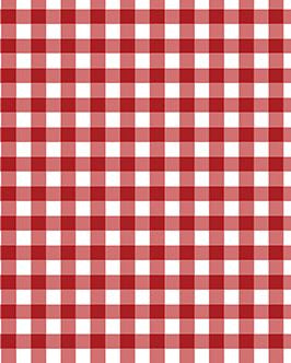 NE State Gingham Tank Top