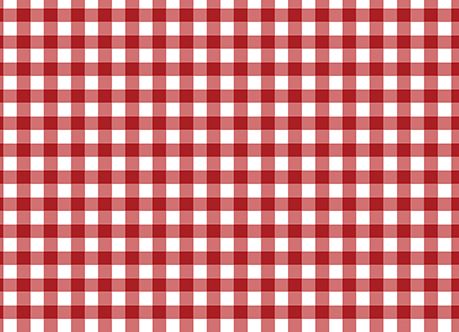 NE Cursive Gingham Tank Top