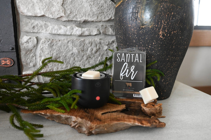 5.5 oz Wax Melts: Santal Fir