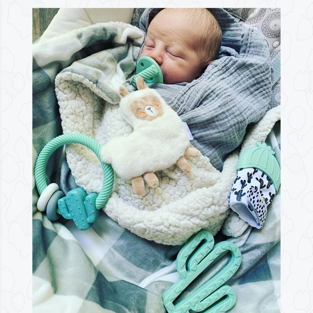 Ritzy Rattle™ Silicone Teether Rattles