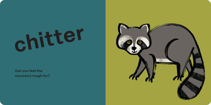 Spring Street Touch and Feel: Forest by Boxer Books