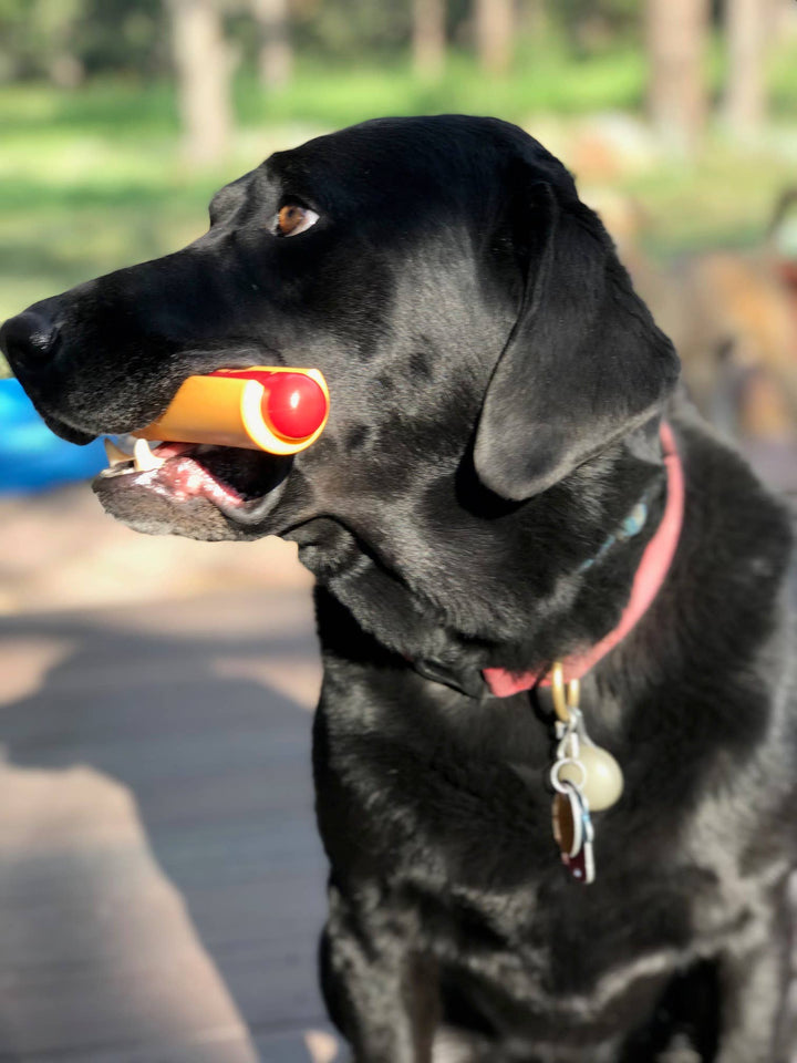 SP Nylon Hot Dog Chew Toy - Medium/Large