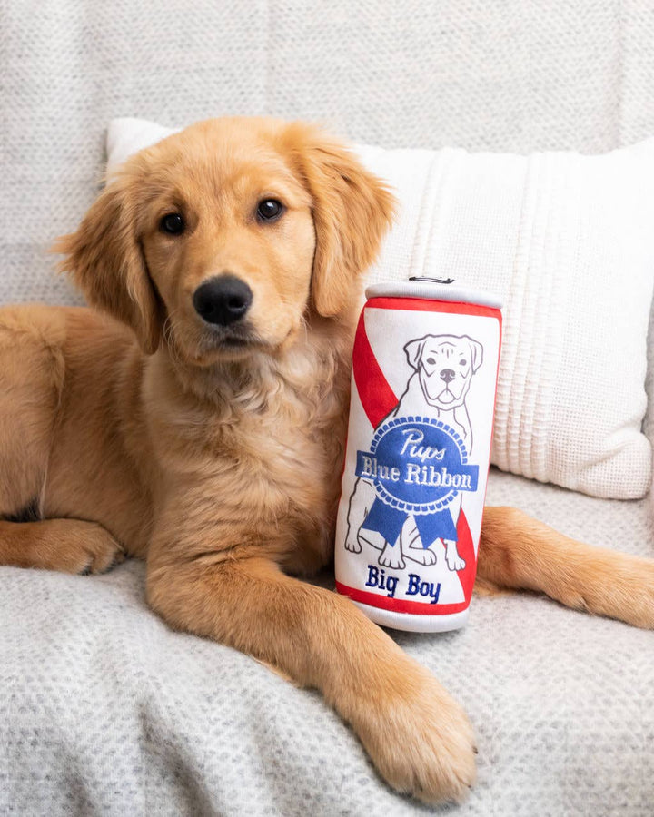 Pups Blue Ribbon For Dogs