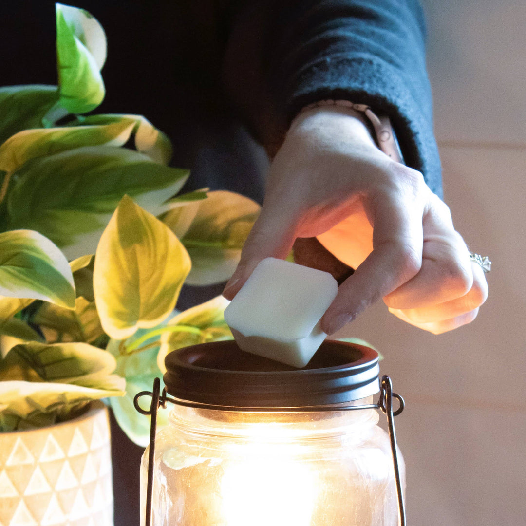 5.5 oz Wax Melts Fall: White Pumpkin