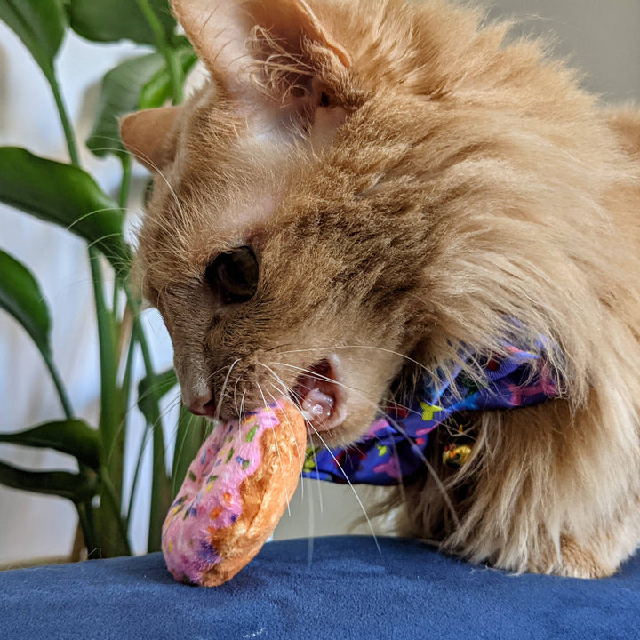 Catnip Donut for Cats