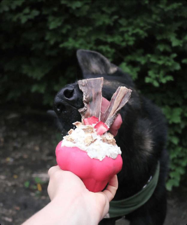 Cupcake Durable Rubber Chew Toy & Treat Dispenser - Pink