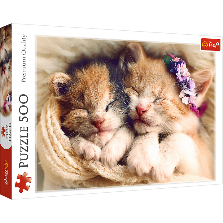 500 Piece Jigsaw Puzzles, Sleeping Kittens