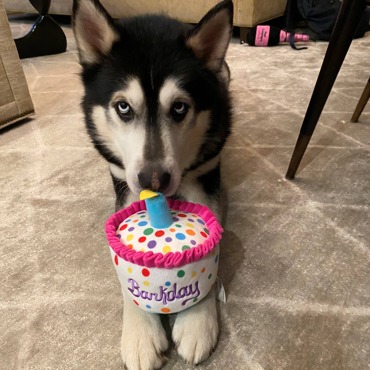 Happy Barkday Cake For Dogs