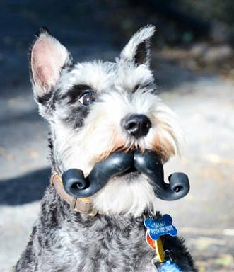 Humunga Stache