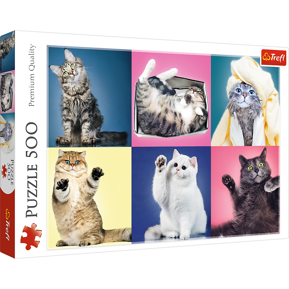 500 Piece Jigsaw Puzzle, Kittens