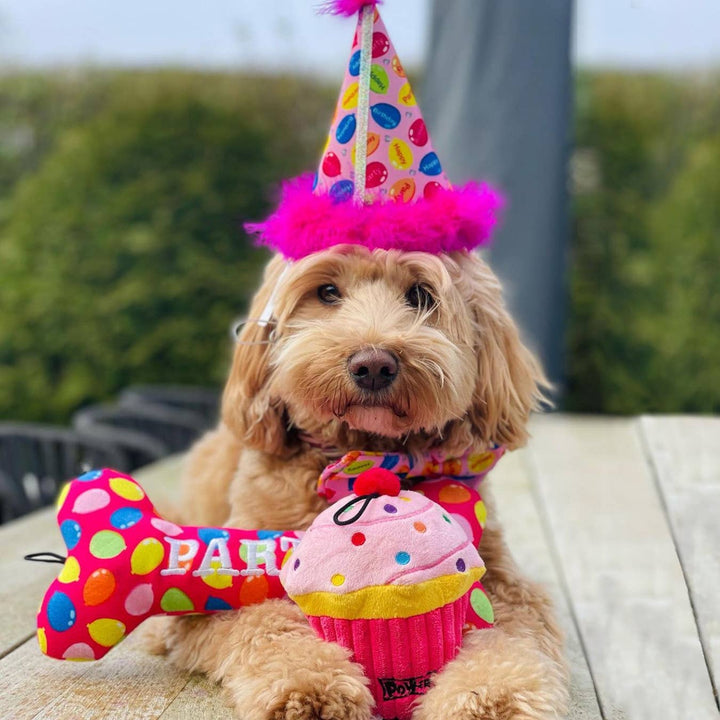 Party Time Bone Pink For Dogs