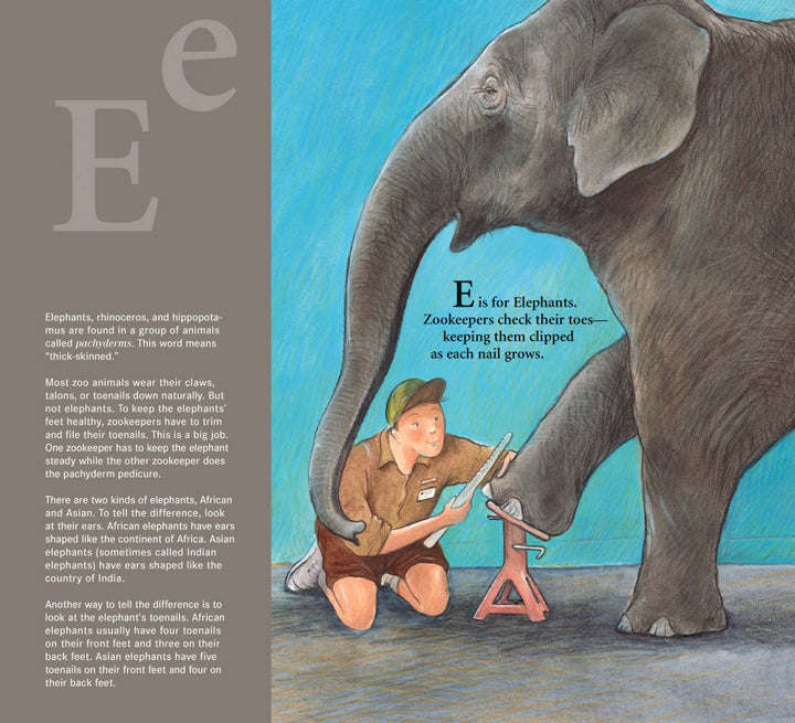 Z is for Zookeeper: A Zoo picture book Paperback