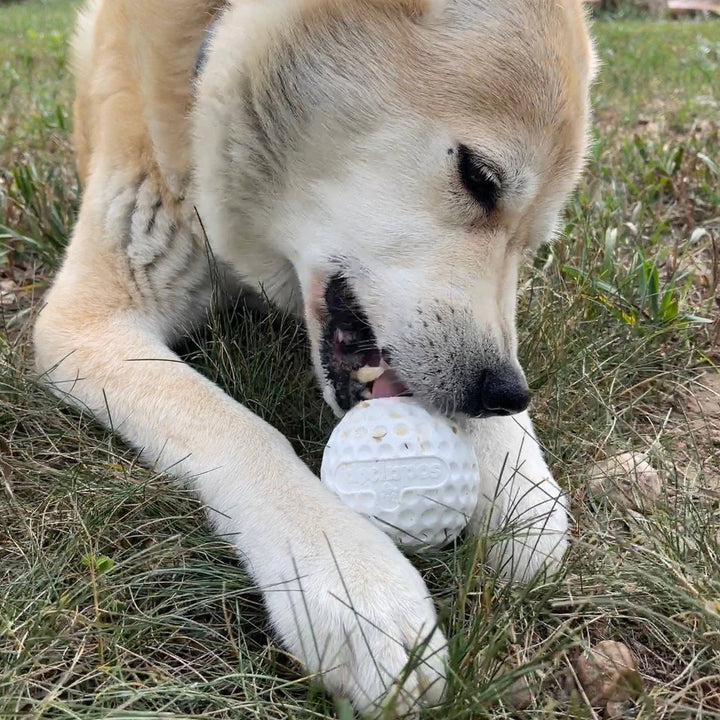 Golf Ball Rubber Treat Dispenser & Enrichment Toy