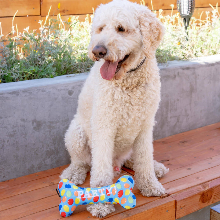 Party Time Bone Blue For Dogs