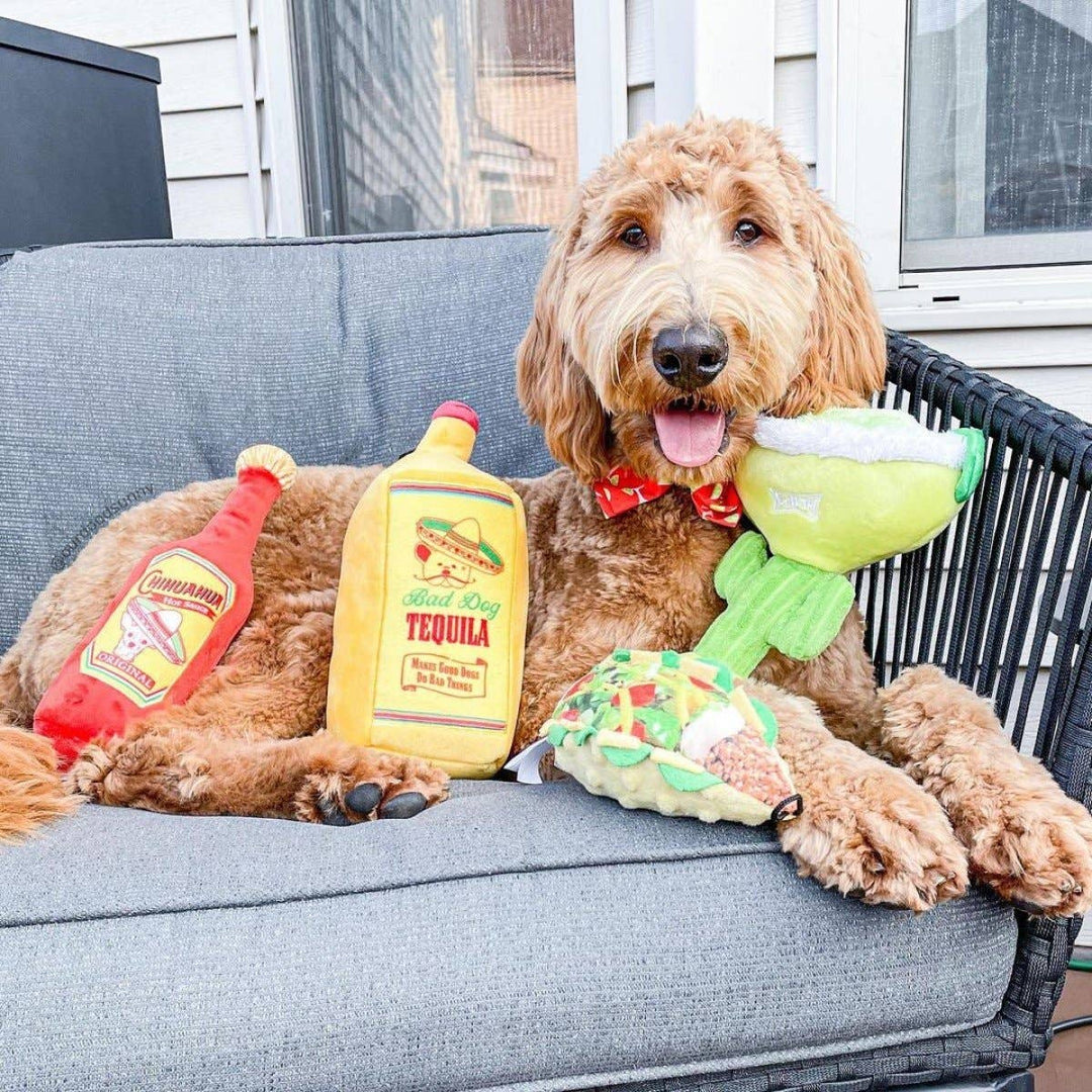 Taco Tuesday For Dogs