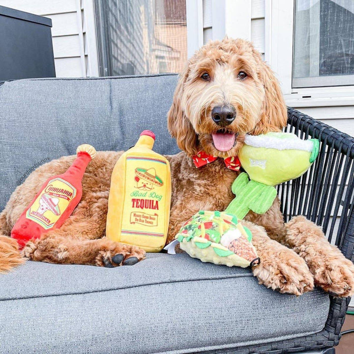 Taco Tuesday For Dogs