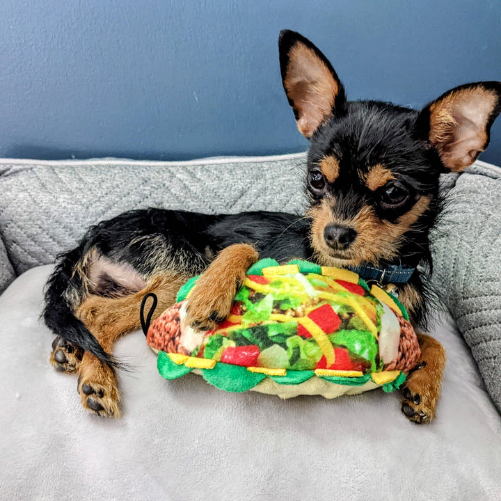 Taco Tuesday For Dogs