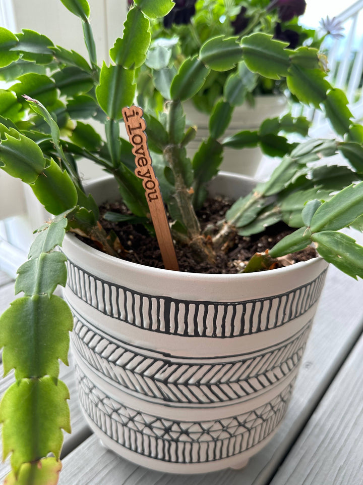 Everyday Plant Sticks/Signs