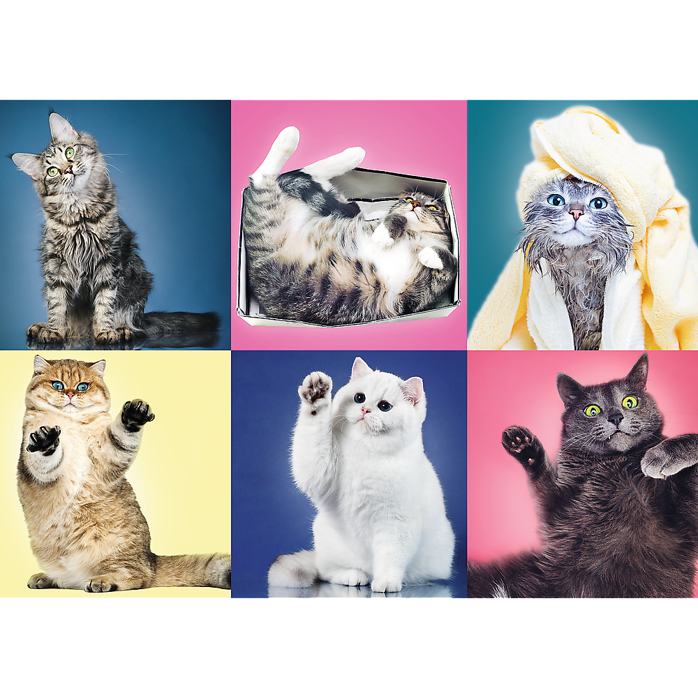 500 Piece Jigsaw Puzzle, Kittens