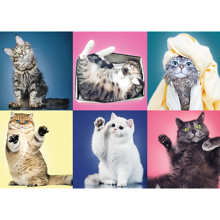 500 Piece Jigsaw Puzzle, Kittens