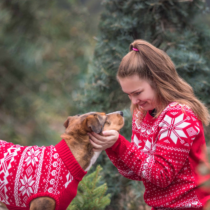Holiday Family Sweater,  Snowflakes Sweater in True Red