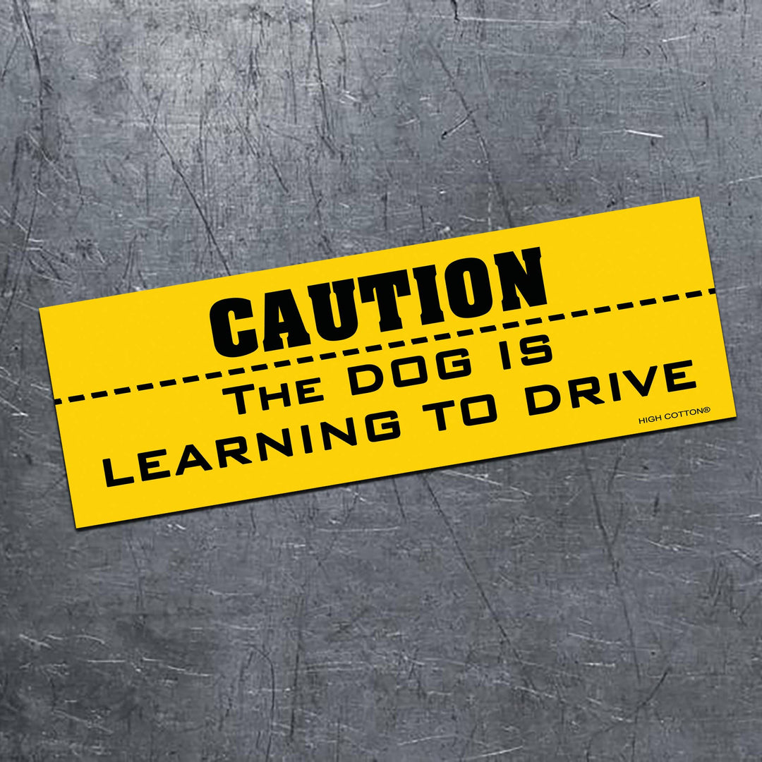 CAUTION -  Dog is Learning to Drive magnet