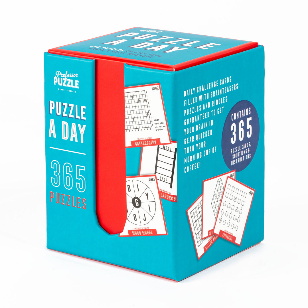 Puzzle a Day 365 Brain Puzzles