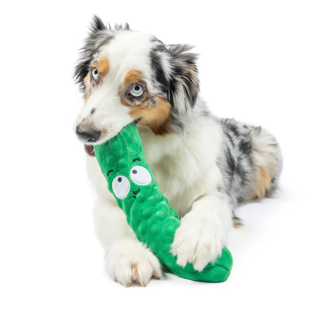 Dell Pickle For Dogs