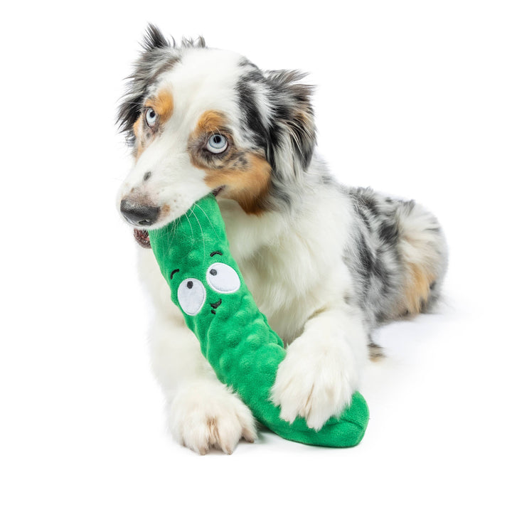 Dell Pickle For Dogs