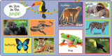 I'm Learning My First 101 Animals! Board Book