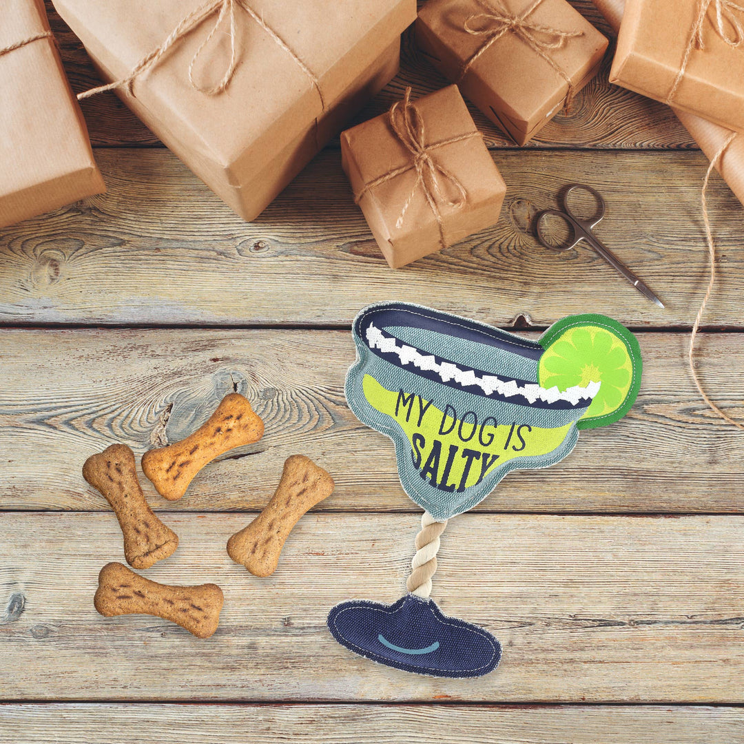 Salty - 11" Canvas Dog Toy on Rope
