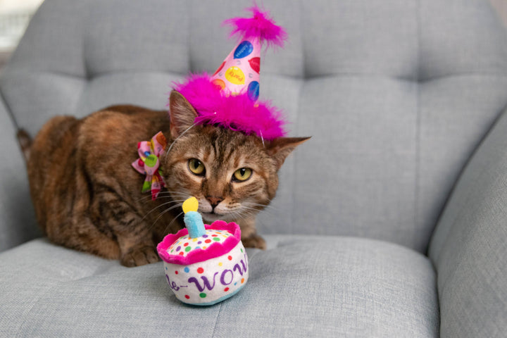 Mewow Cake for Cats