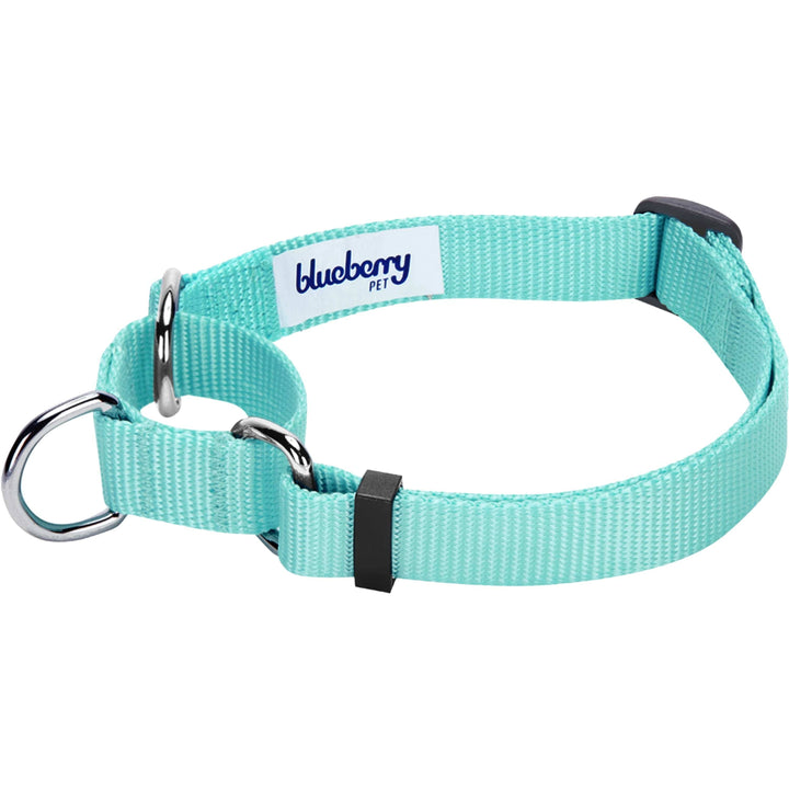 5 Colors, Classic Martingale Dog Collar