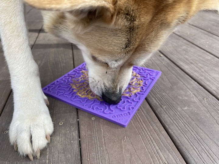 Bones Design Emat Enrichment Licking Mat