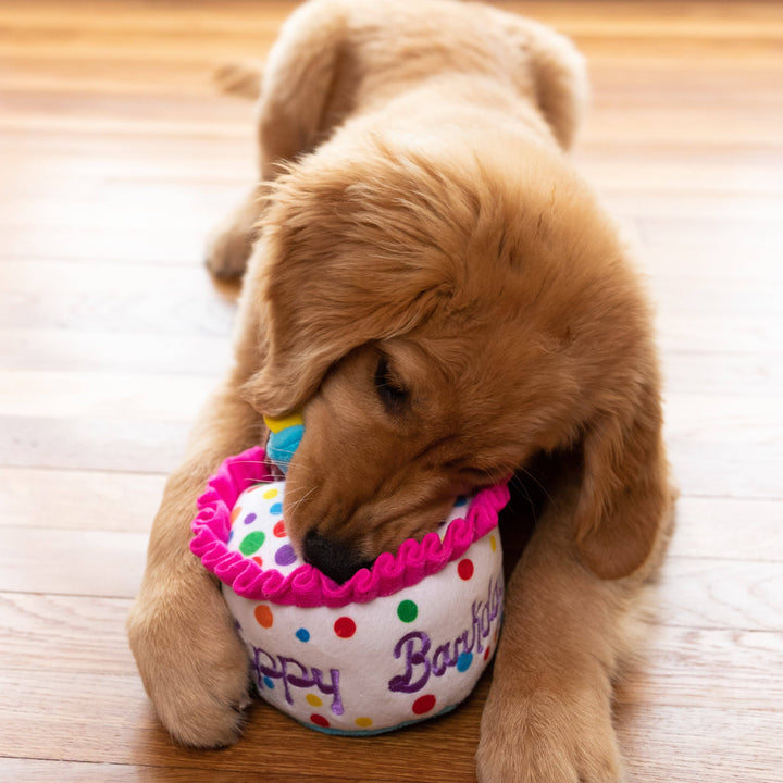 Happy Barkday Cake For Dogs