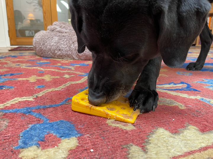 Swiss Cheese Wedge Durable Nylon Dog Chew Toy for Aggressive