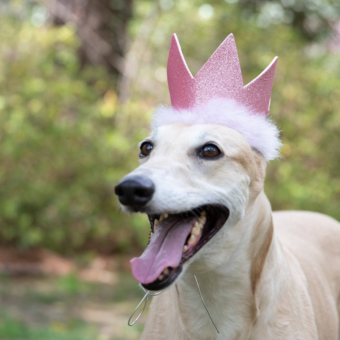 H&K Party Crown Pink with SnugFit®