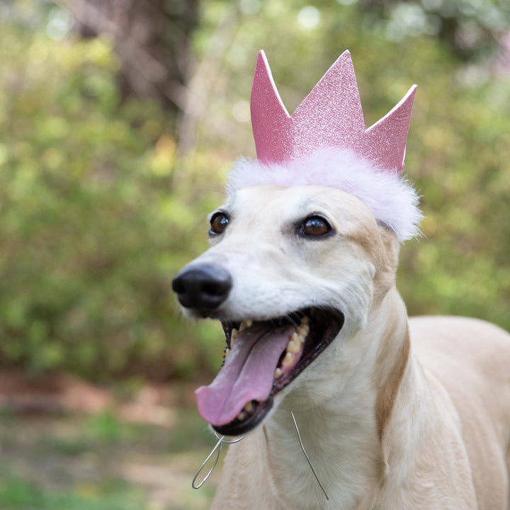 H&K Party Crown Pink with SnugFit®
