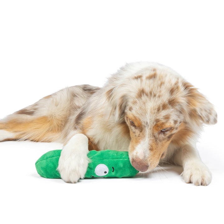 Dell Pickle For Dogs