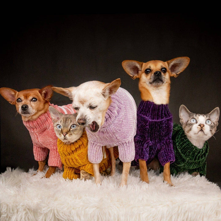 Ultra Soft Chenille Dog Sweater, Small to Large Breeds