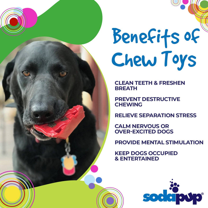 Cherry Pie Durable Nylon Dog Chew Toy and Treat Holder
