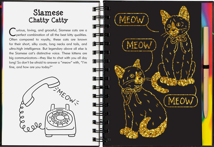 Kittens Scratch and Sketch