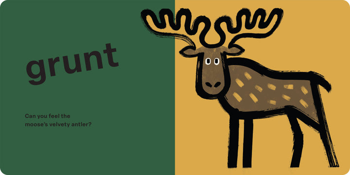Spring Street Touch and Feel: Forest by Boxer Books