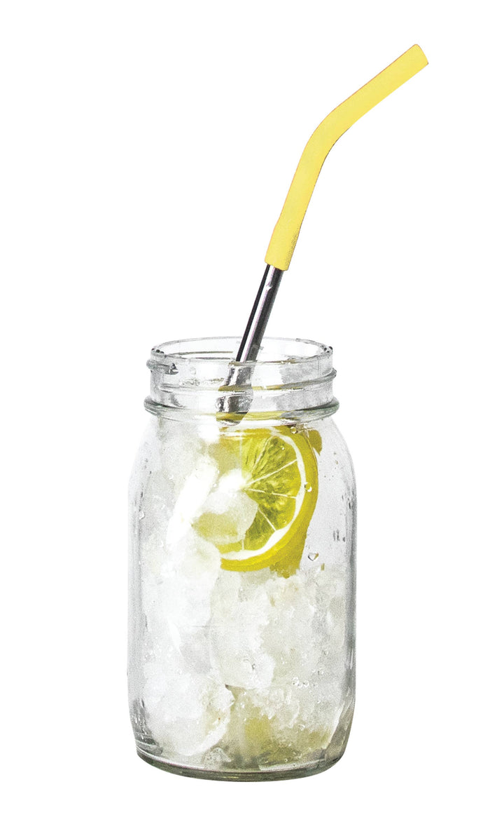 Krumbs Kitchen 4 Pack Stainless Steel Straws + Brush Cleaner