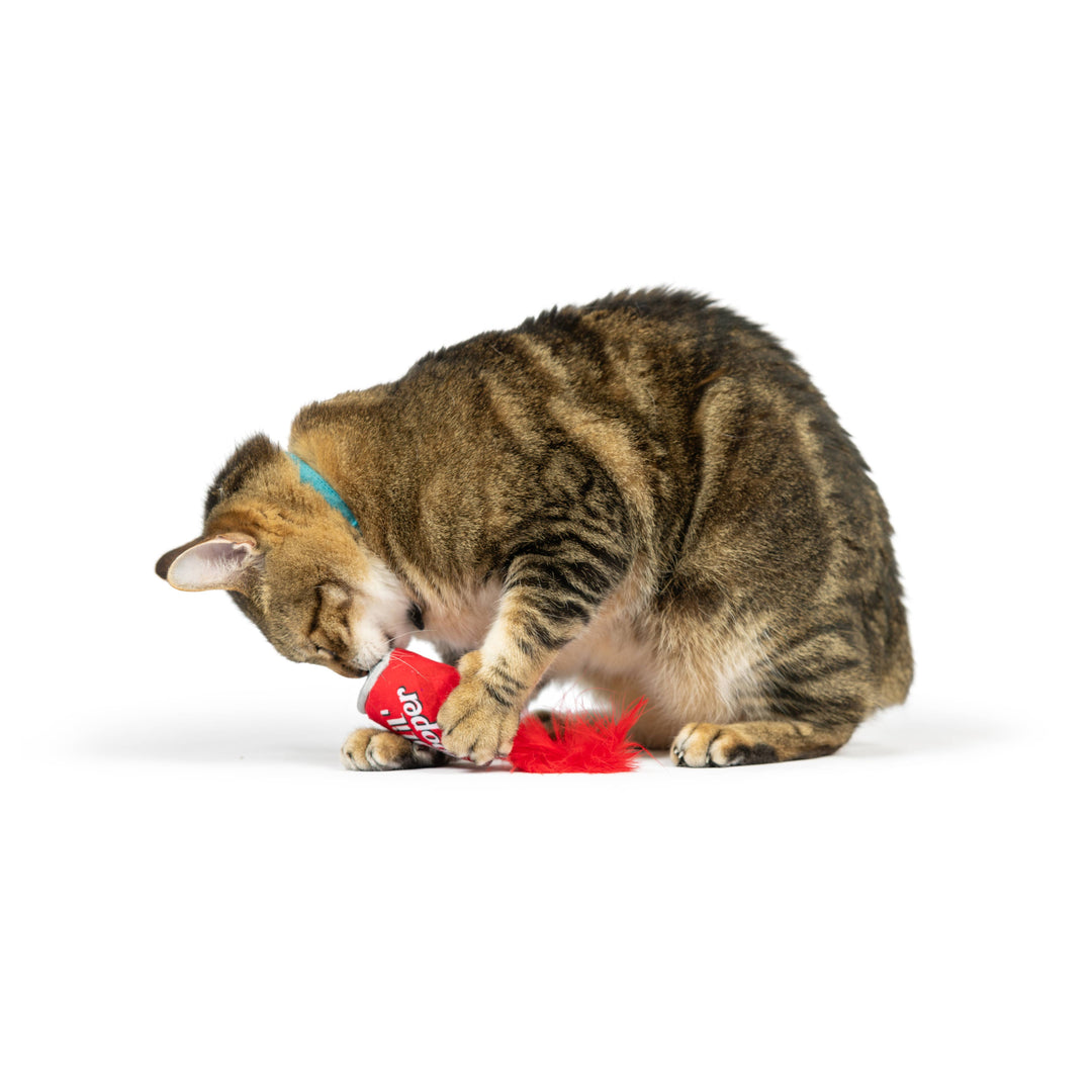 Lil' Pooper Cat Toy