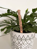 Punny Plant Stakes/ Funny Plant Markers
