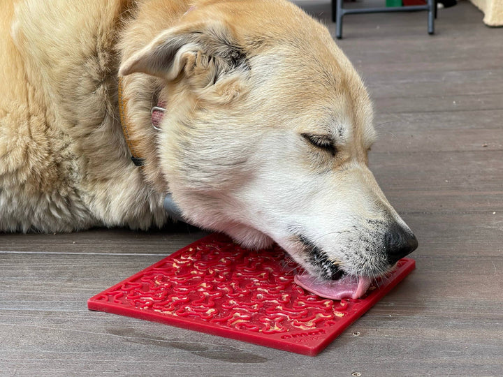 Bones Design Emat Enrichment Licking Mat