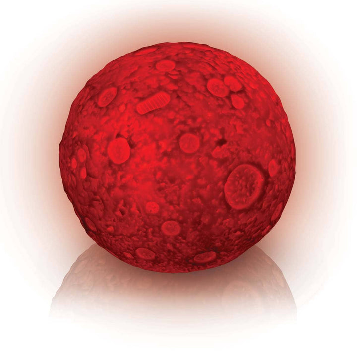 Astroverse Lunar Light Show Set, 4.5", 16 Colors